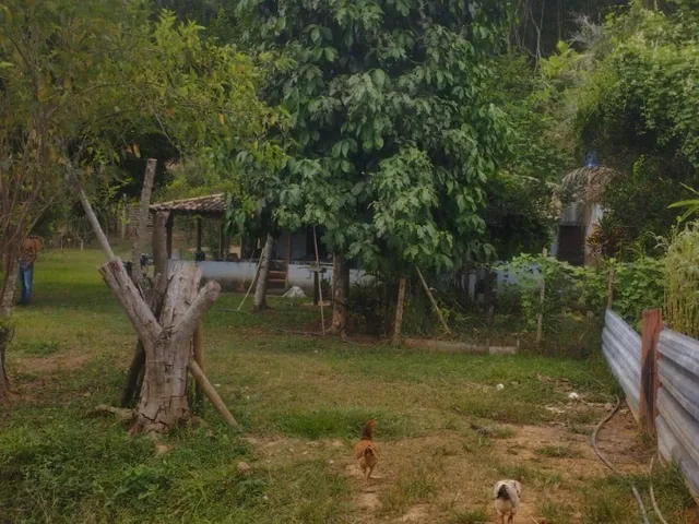 Imagem 9: Chacara Residencial em Caratinga - Mg, Córrego Taquaraçu