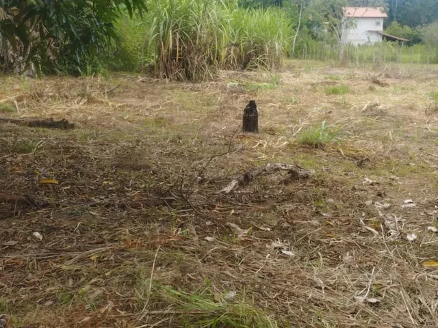 Imagem 2: Chacara Residencial em Caratinga - Mg, Córrego Taquaraçu