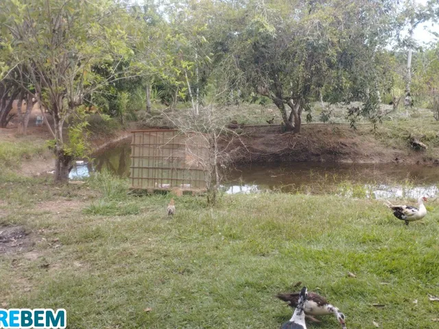 Imagem 3: Chacara Residencial em Caratinga - Mg, Córrego Taquaraçu