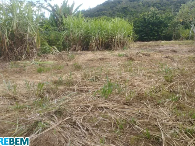 Imagem 4: Chacara Residencial em Caratinga - Mg, Córrego Taquaraçu