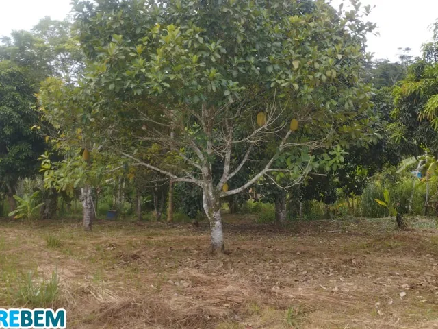 Imagem 7: Chacara Residencial em Caratinga - Mg, Córrego Taquaraçu