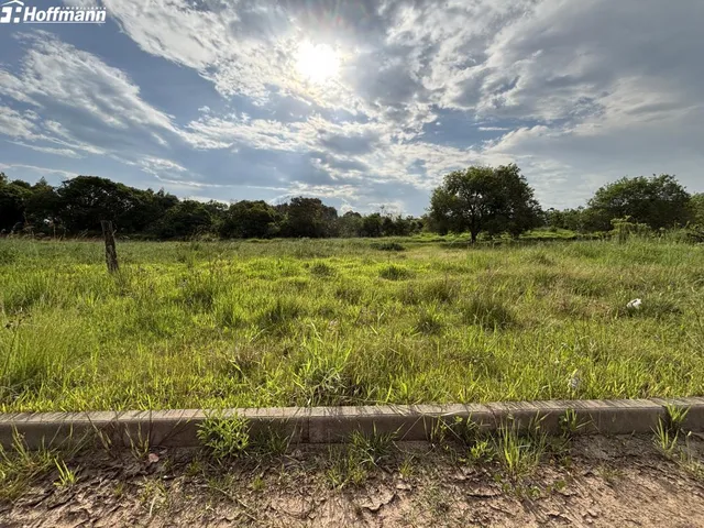 Imagem: Terreno - Bairro Campo Grande - Estância