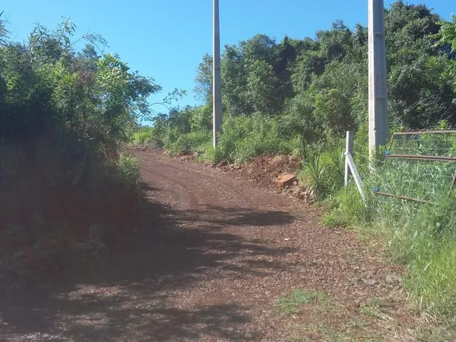 Imagem 6: Chácara em Sede Dom Carlos