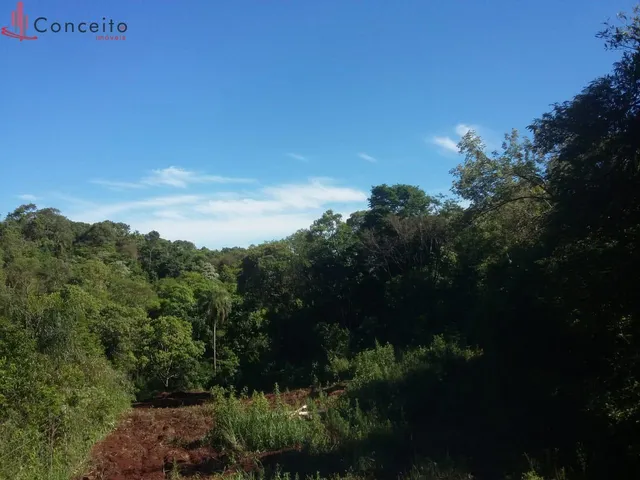 Imagem 11: Chácara em Sede Dom Carlos