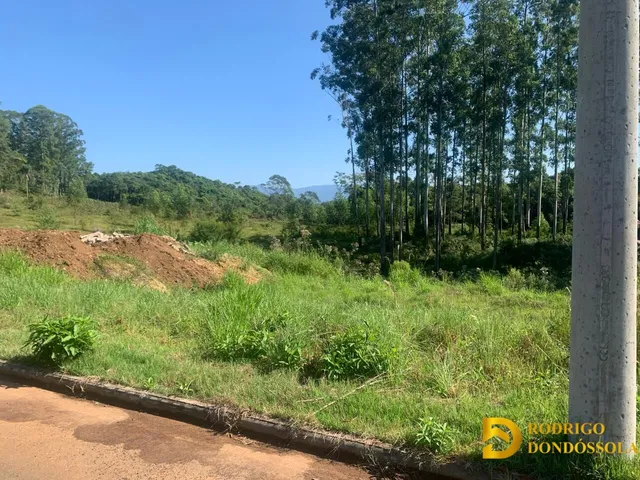 Imagem: Terreno à venda no bairro Nossa Senhora