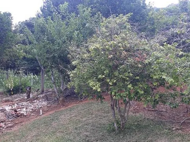 Imagem 2: Casa à venda com Quatro Dormitórios. Bairro Linha Imperial, Nova Petrópolis, RS