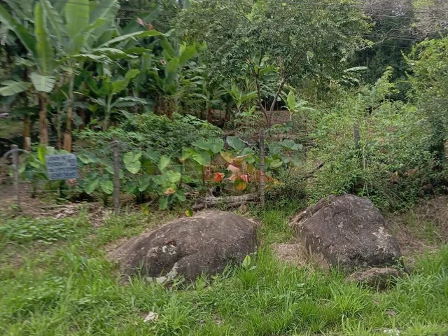 Imagem: REF. 380 Terreno à venda no bairro Ratones