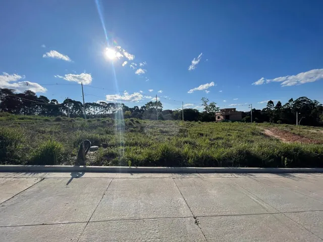 Imagem 16: Terreno à venda no bairro Vila Rivabem - Campo Largo/PR
