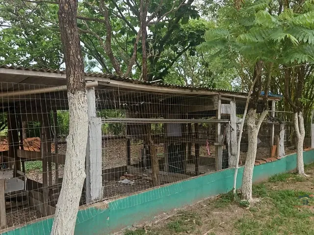 Imagem 12: Chacara Urbana para Venda, Residencial Nova Esperança, Cuiabá