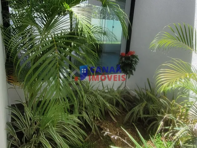 Imagem 11: Casa térrea 3 quartos, 1 suíte e 2 demi suíte, lote 440m² (pega duas ruas