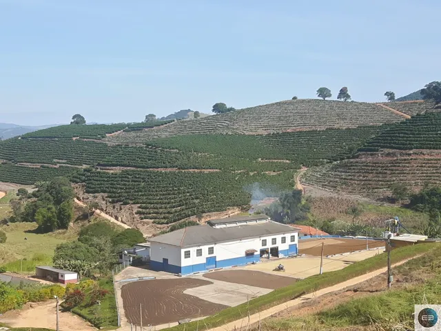 Imagem: Fazenda de Café