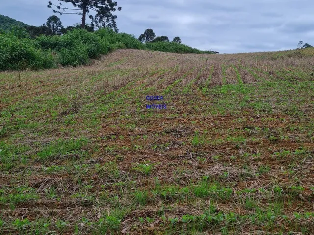 Imagem 5: Área total: 5 alqueires e 21 litros. Área de lavoura: 4 alqueires e 20 litros