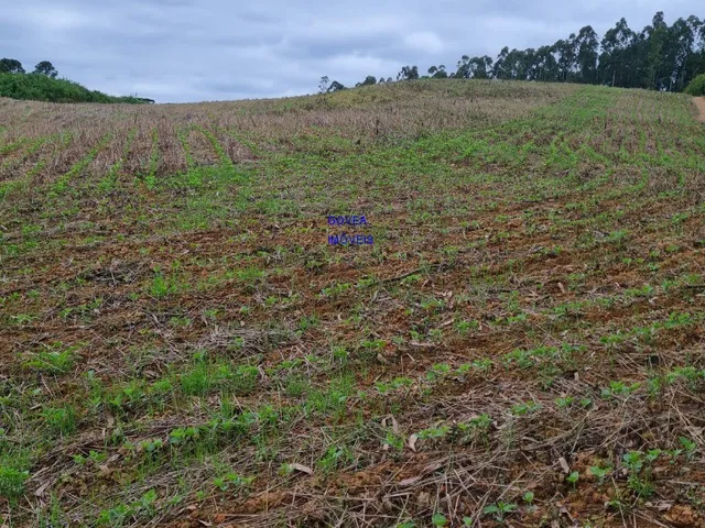 Imagem 3: Área total: 5 alqueires e 21 litros. Área de lavoura: 4 alqueires e 20 litros
