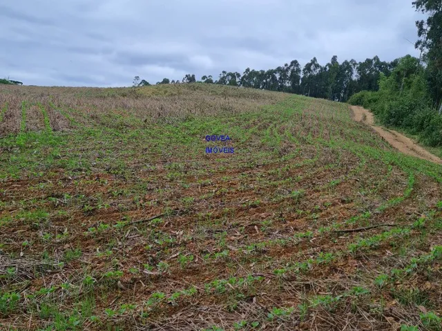 Imagem 6: Área total: 5 alqueires e 21 litros. Área de lavoura: 4 alqueires e 20 litros