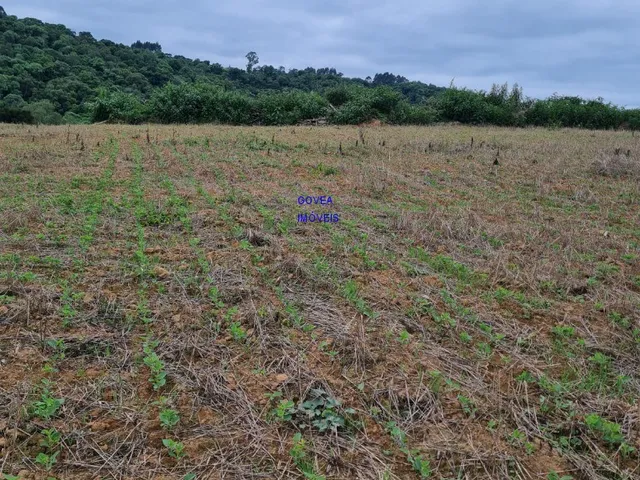 Imagem 2: Área total: 5 alqueires e 21 litros. Área de lavoura: 4 alqueires e 20 litros