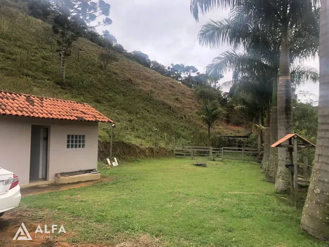 Imagem 6: SÍTIO A VENDA NO COSTAS DA MANTIQUEIRA