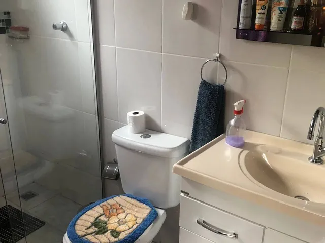 Imagem 13: SÍTIO A VENDA NO COSTAS DA MANTIQUEIRA
