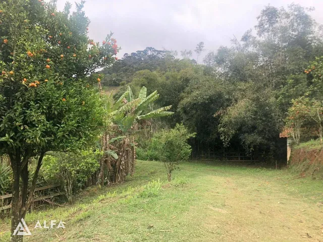 Imagem 3: SÍTIO A VENDA NO COSTAS DA MANTIQUEIRA