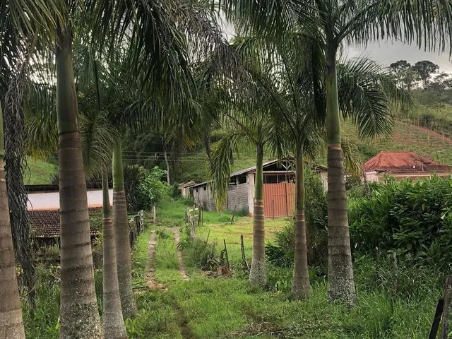 Imagem 7: SÍTIO A VENDA NO COSTAS DA MANTIQUEIRA