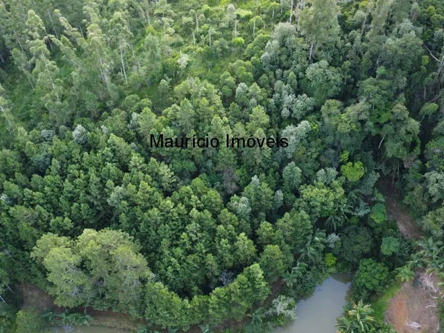 Imagem 8: Sitio com 4 hectares, na Localidade de Cabeça D´Anta, Rio do Oeste, com uma casa