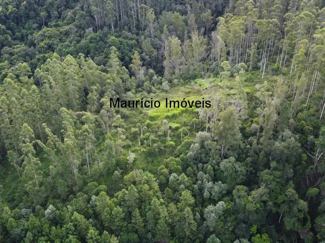 Imagem 3: Sitio com 4 hectares, na Localidade de Cabeça D´Anta, Rio do Oeste, com uma casa
