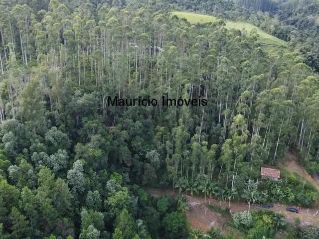 Imagem 14: Sitio com 4 hectares, na Localidade de Cabeça D´Anta, Rio do Oeste, com uma casa
