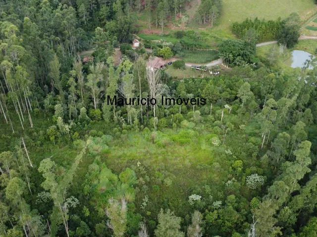 Imagem 9: Sitio com 4 hectares, na Localidade de Cabeça D´Anta, Rio do Oeste, com uma casa