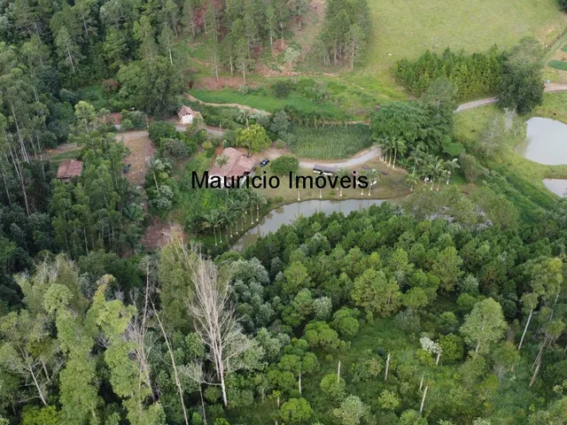 Imagem 16: Sitio com 4 hectares, na Localidade de Cabeça D´Anta, Rio do Oeste, com uma casa