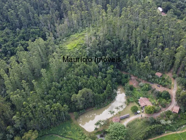Imagem 4: Sitio com 4 hectares, na Localidade de Cabeça D´Anta, Rio do Oeste, com uma casa