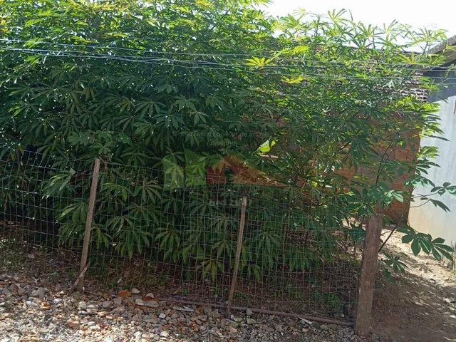 Imagem 4: REF. 381 Apartamento Kitnet quatro unidades
