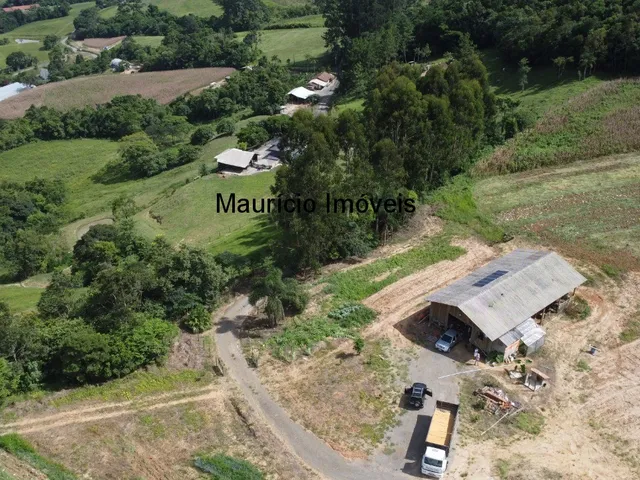 Imagem 11: Terreno rural com 4,00 hectares, localidade Pouso da Caixa, Pouso Redondo, S.C., sendo 3