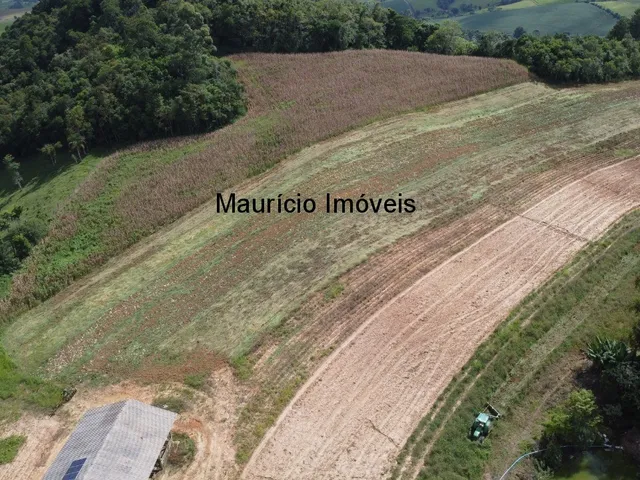 Imagem 3: Terreno rural com 4,00 hectares, localidade Pouso da Caixa, Pouso Redondo, S.C., sendo 3