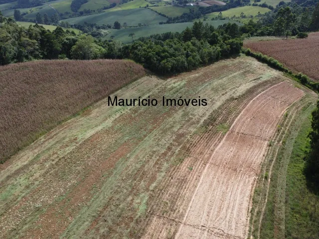 Imagem 4: Terreno rural com 4,00 hectares, localidade Pouso da Caixa, Pouso Redondo, S.C., sendo 3