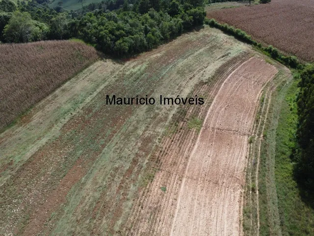 Imagem 6: Terreno rural com 4,00 hectares, localidade Pouso da Caixa, Pouso Redondo, S.C., sendo 3