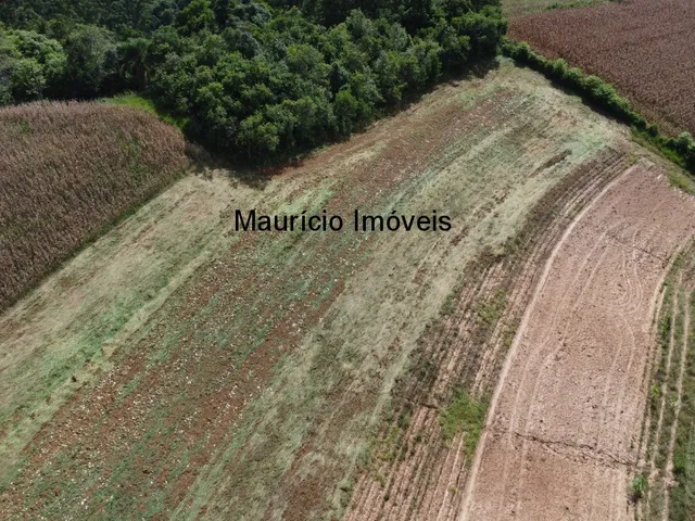 Imagem 15: Terreno rural com 4,00 hectares, localidade Pouso da Caixa, Pouso Redondo, S.C., sendo 3