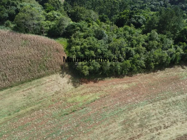 Imagem 10: Terreno rural com 4,00 hectares, localidade Pouso da Caixa, Pouso Redondo, S.C., sendo 3