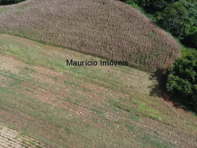 Imagem 14: Terreno rural com 4,00 hectares, localidade Pouso da Caixa, Pouso Redondo, S.C., sendo 3
