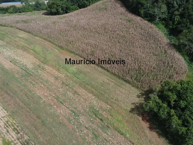 Imagem 9: Terreno rural com 4,00 hectares, localidade Pouso da Caixa, Pouso Redondo, S.C., sendo 3
