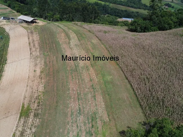 Imagem 7: Terreno rural com 4,00 hectares, localidade Pouso da Caixa, Pouso Redondo, S.C., sendo 3