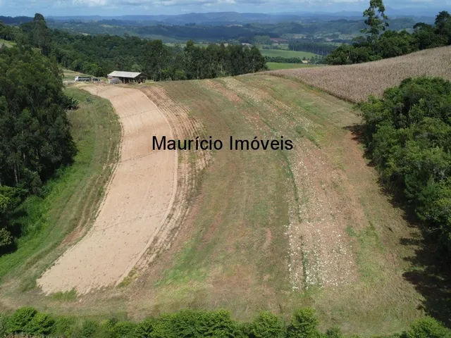 Imagem 16: Terreno rural com 4,00 hectares, localidade Pouso da Caixa, Pouso Redondo, S.C., sendo 3