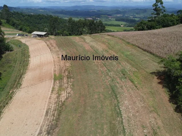 Imagem 13: Terreno rural com 4,00 hectares, localidade Pouso da Caixa, Pouso Redondo, S.C., sendo 3