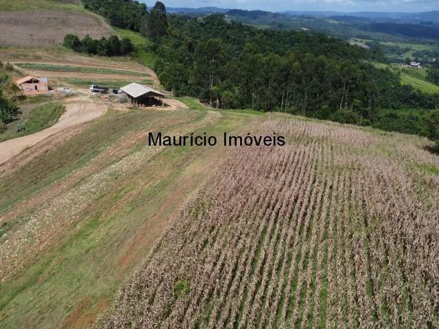 Imagem 12: Terreno rural com 4,00 hectares, localidade Pouso da Caixa, Pouso Redondo, S.C., sendo 3