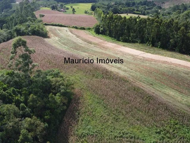 Imagem 2: Terreno rural com 4,00 hectares, localidade Pouso da Caixa, Pouso Redondo, S.C., sendo 3