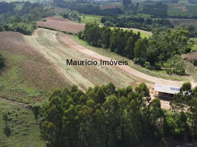 Imagem 8: Terreno rural com 4,00 hectares, localidade Pouso da Caixa, Pouso Redondo, S.C., sendo 3