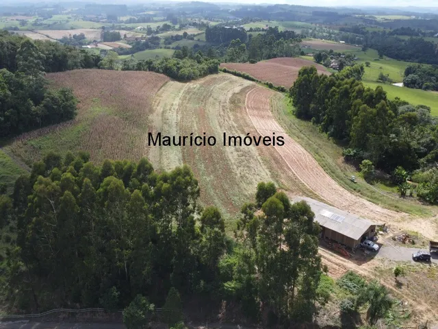 Imagem 5: Terreno rural com 4,00 hectares, localidade Pouso da Caixa, Pouso Redondo, S.C., sendo 3