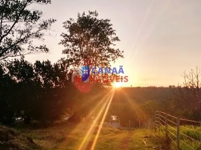 Imagem 4: Rancho à venda, 5000m², Casa com 4 quartos - 60% em permuta