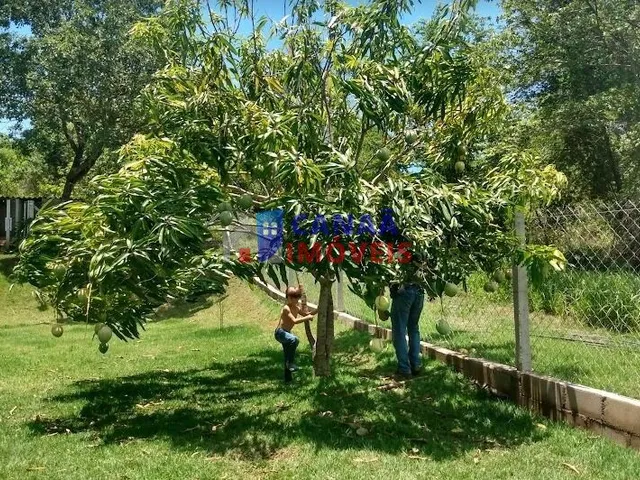Imagem 16: Rancho à venda, 5000m², Casa com 4 quartos - 60% em permuta