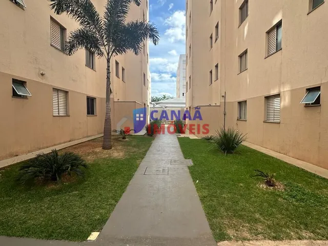 Imagem 10: Apartamento 2 quartos, bairro Jd Célia