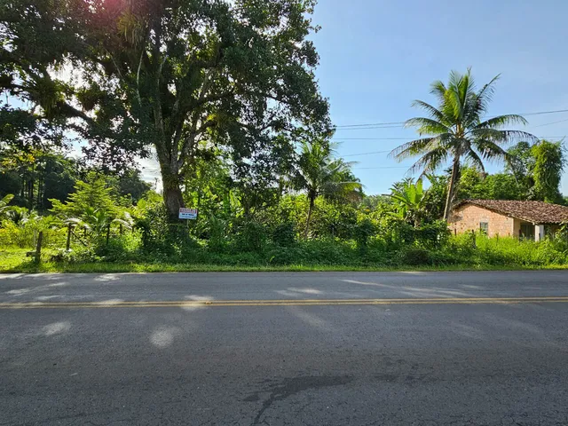 Imagem 7: Terreno Lote em MARICOABO, Valença/BA
