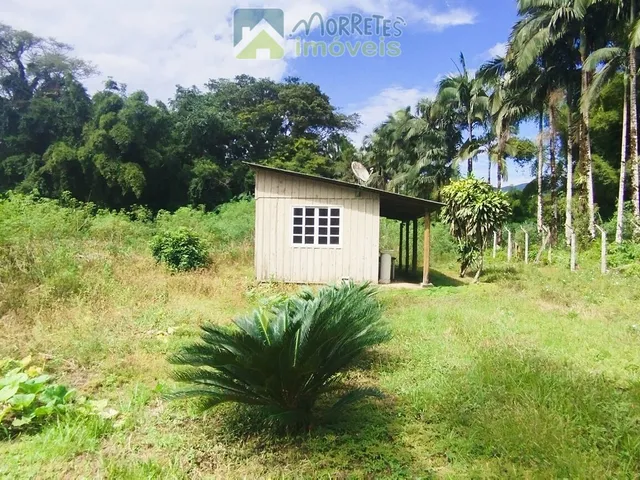 Imagem 14: Área à venda no bairro América de baixo - Morretes/PR, Rural